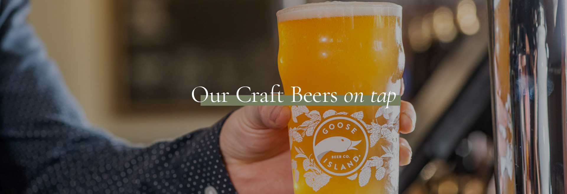 Craft Beer Residency 