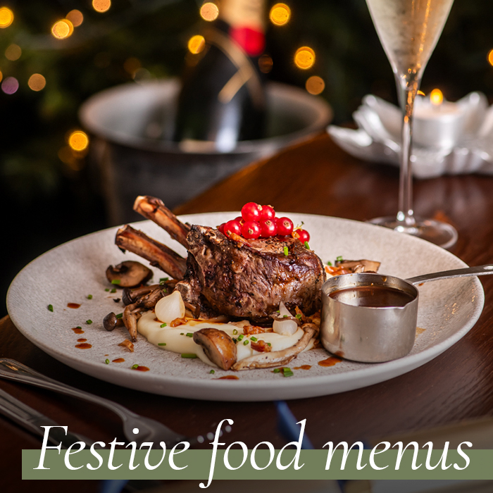 View our Christmas & Festive Menus. Christmas at The Windsor Castle in London
