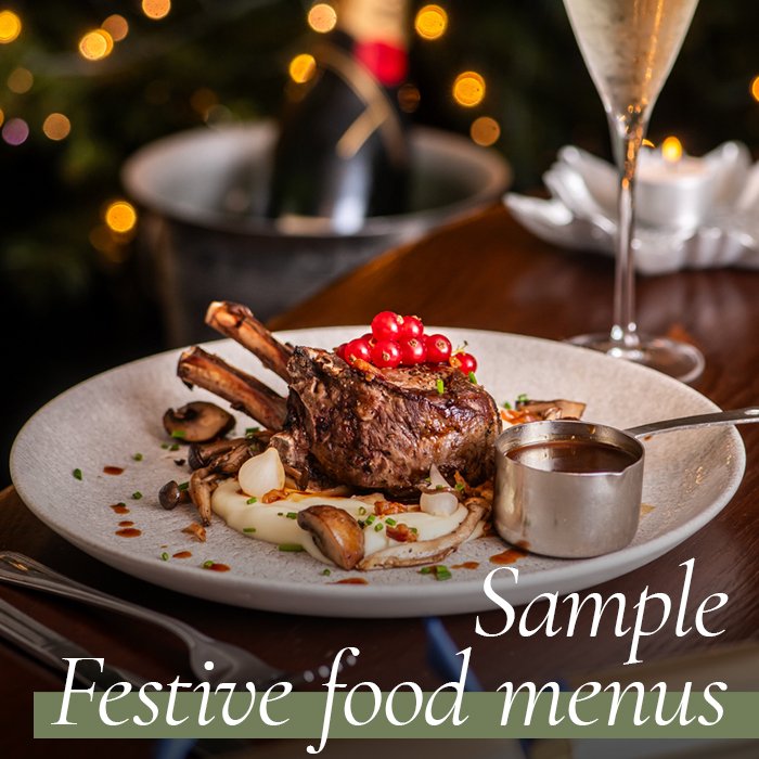 View our Christmas & Festive Menus. Christmas at The Windsor Castle in London