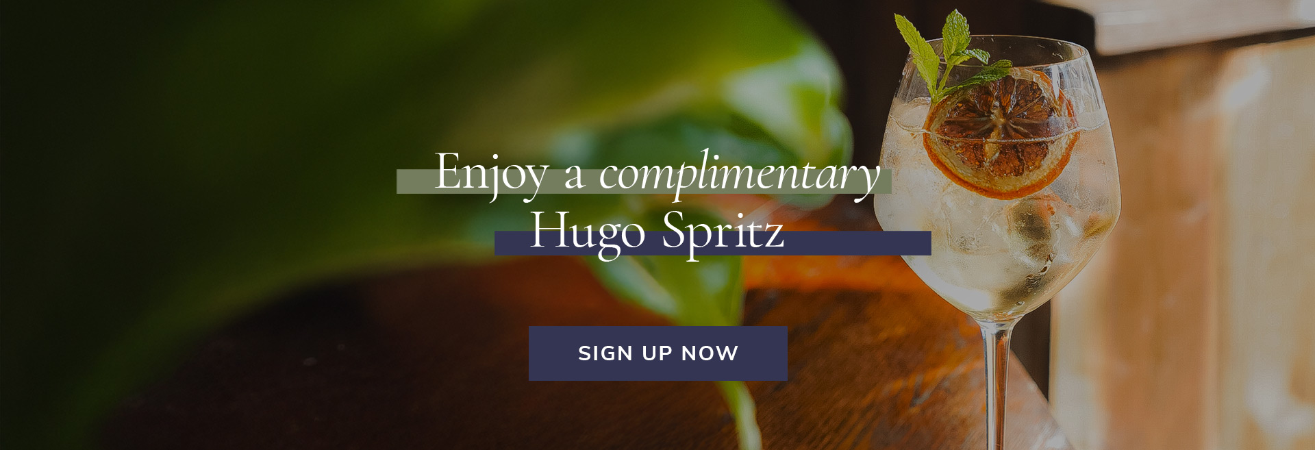 Sign Up