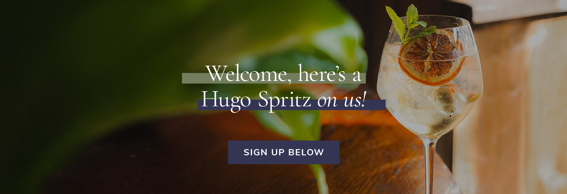Sign up to the newsletter at The Windsor Castle